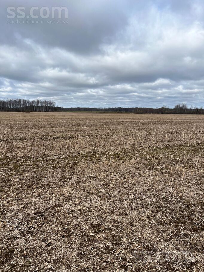 Kaušu mājas, Ivdrīši, Preiļi un raj., Preiļu pag. — zeme