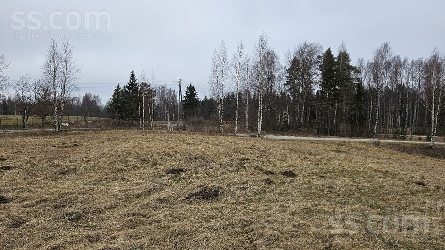 Rāznas iela 12, Lūznava, Rēzekne un raj., Lūznavas pag. — zeme