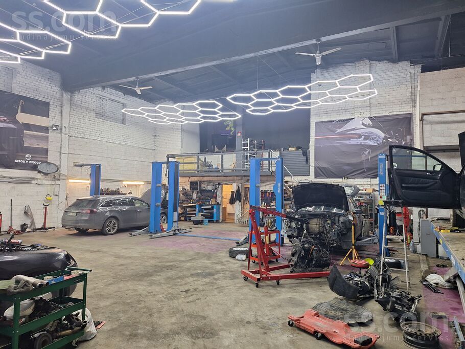 Meža ceļš 2, Raubēni, Jelgava un raj., Cenu pag. — telpa