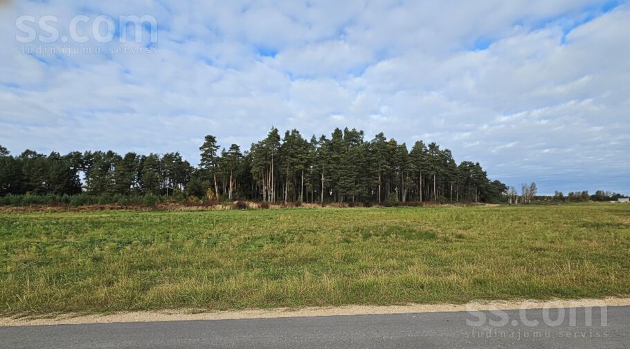 Siliņu iela 42, Lubauši, Rīgas rajons, Olaines pag. — zeme