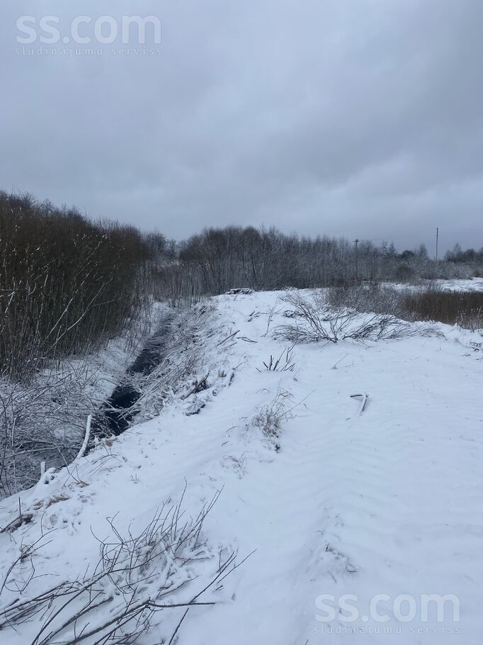 Biķernieki 1, Biķernieki, Daugavpils un raj., Biķernieku pag. — zeme