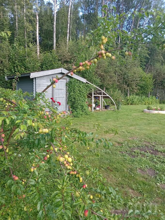 Mezvidi 47, Ogre un raj., Ogre — maja