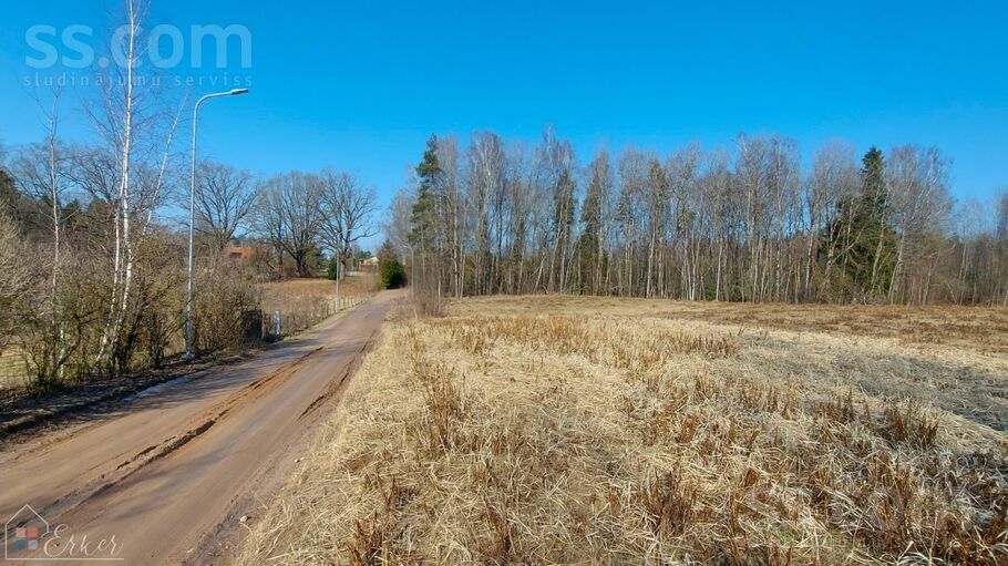 Pieneņu ceļš 17, Ogre un raj., Ogre — zeme