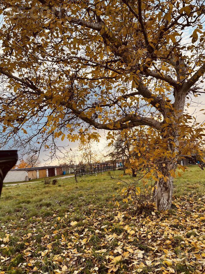 Lerha-Puškaiša 31a, Talsi un raj., Talsi — zeme