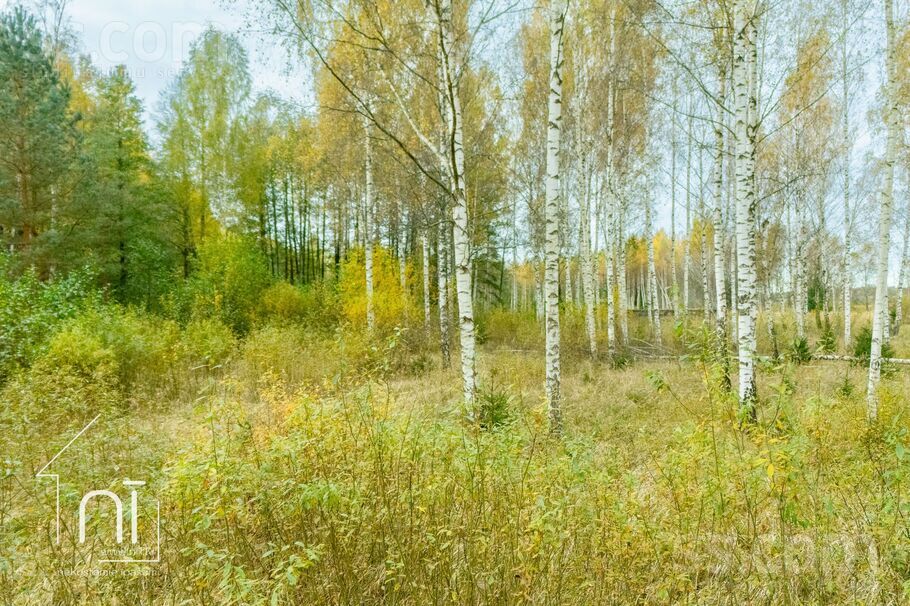 Čiekuri, Jaunolaine, Rīgas rajons, Olaines pag. — zeme