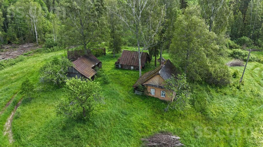 Noviki, Ludza un raj., Isnaudas pag. — vienseta