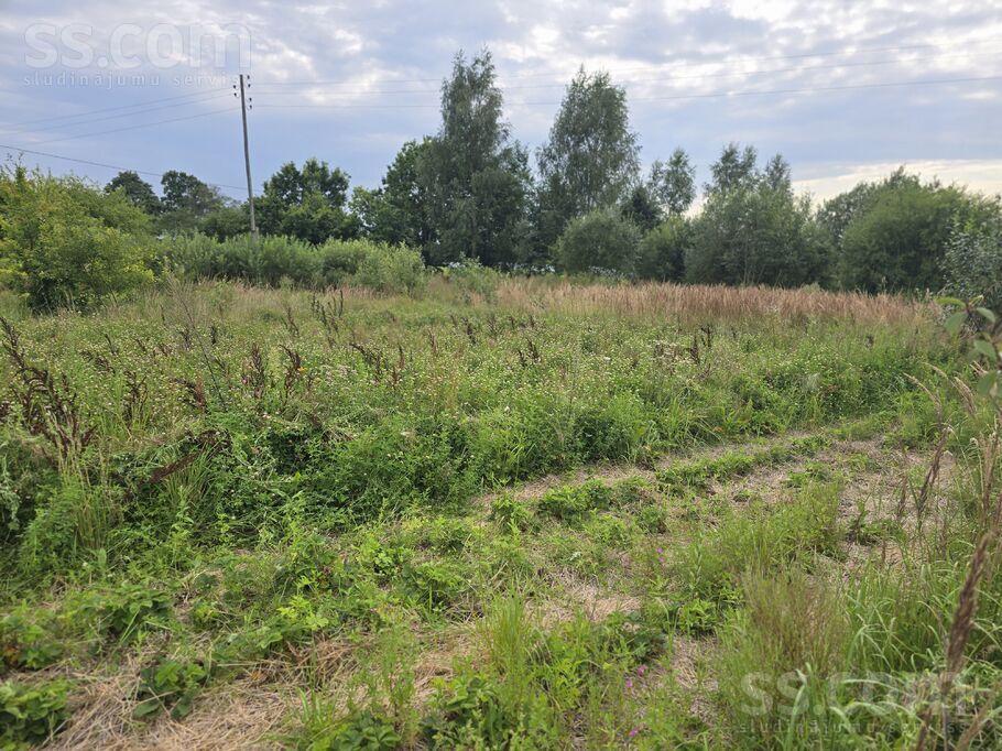 Žulpi, Kuldīga un raj., Rudbāržu pag. — zeme