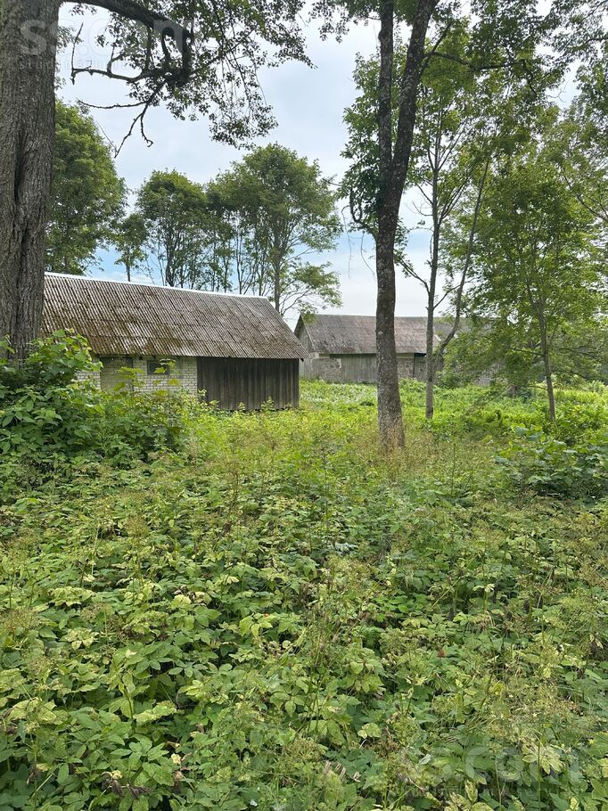 Kociņi, Jaunlaicene, Alūksne un raj., Jaunlaicenes pag. — maja