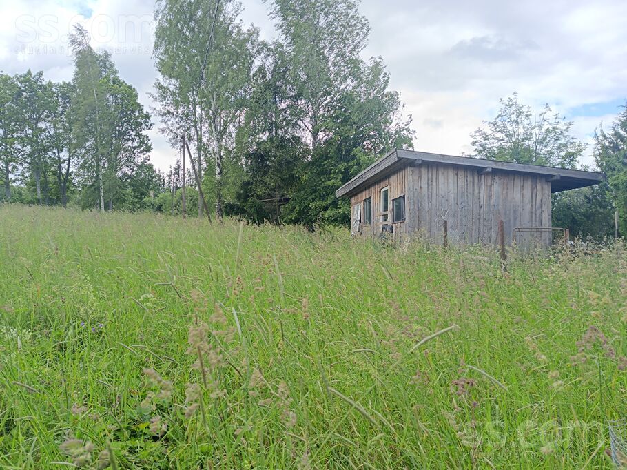 Dārziņš 72, Salas, Madona un raj., Praulienas pag. — maja