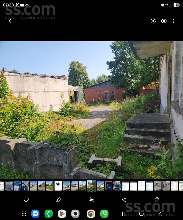 Daugavpils 12, Šķeltova, Krāslava un raj., Šķeltovas pag. — maja