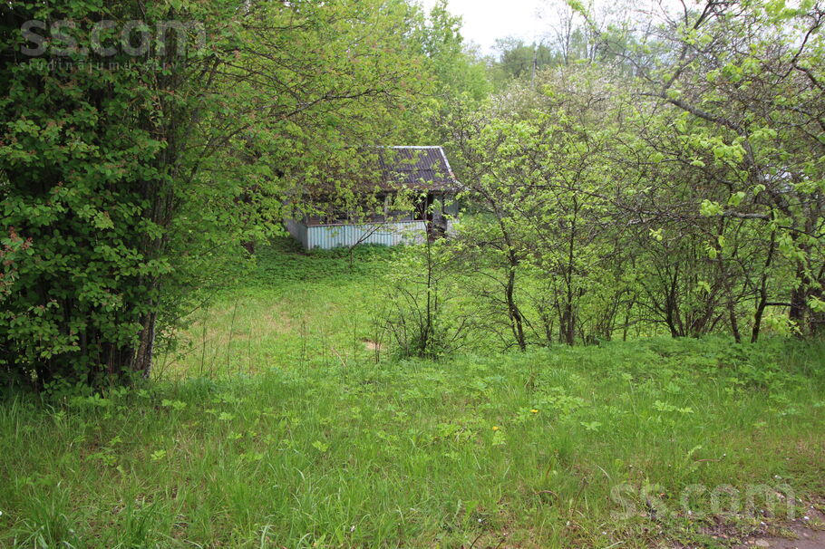 Atpūta Griškāni 59, Dreizi, Rēzekne un raj., Griškānu pag. — maja