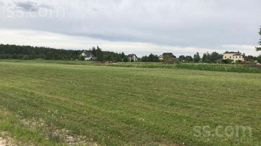 Kalnezera iela, Tīnūži, Ogre un raj., Ikšķiles l. t. — zeme