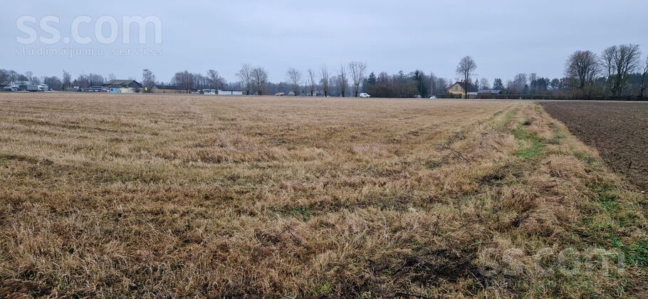 Pūliņi, Kroņauce, Dobele un raj., Auru pag. — zeme