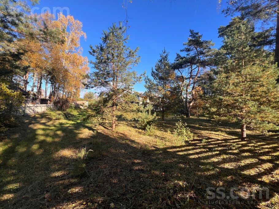 Viņķu iela 10a, Jūrmala — zeme