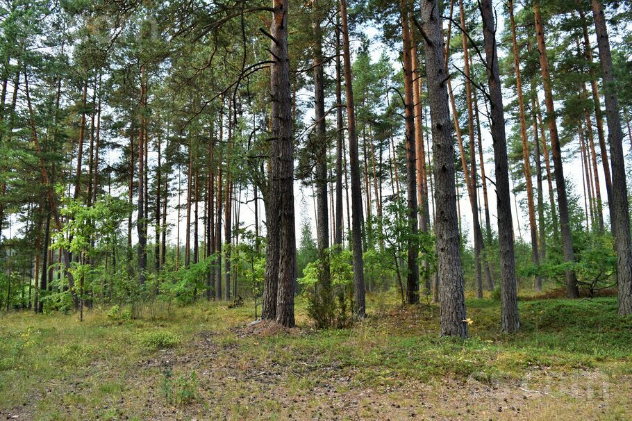 Kociņi, Kadaga, Rīgas rajons, Ādažu nov. — zeme