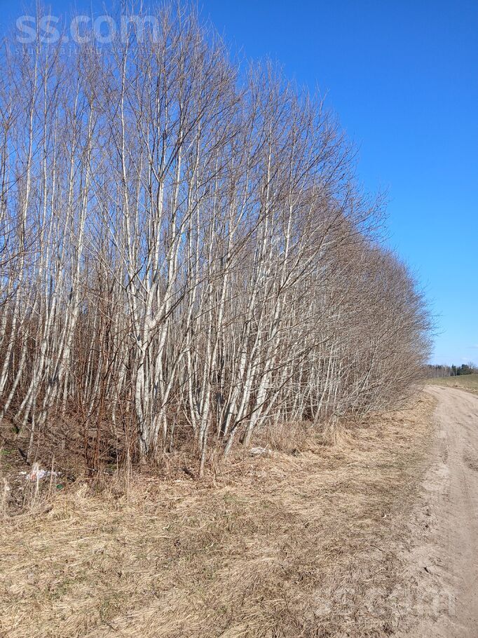 Stūri, Saldus un raj., Blīdenes pag. — mezs