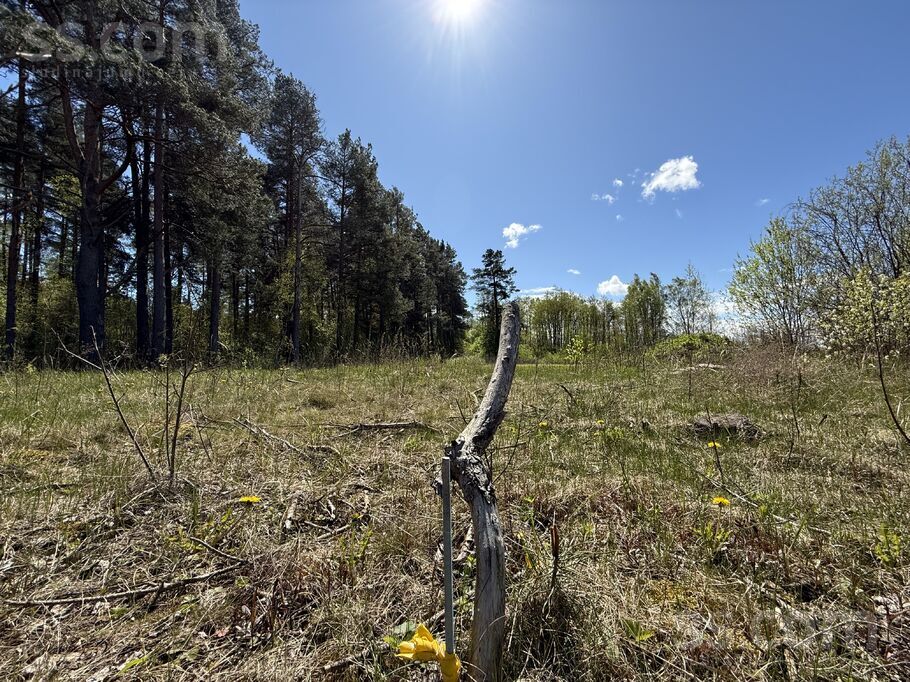 Romas iela 6, Amatnieki, Rīgas rajons, Garkalnes nov. — zeme