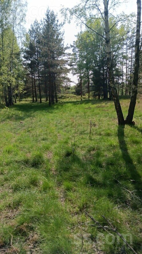 Lōrm nītõd, Sīkrags, Talsi un raj., Kolkas pag. — zeme