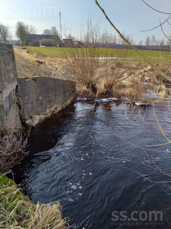 Ezerkrogs, Saldus un raj., Jaunauces pag. — vienseta