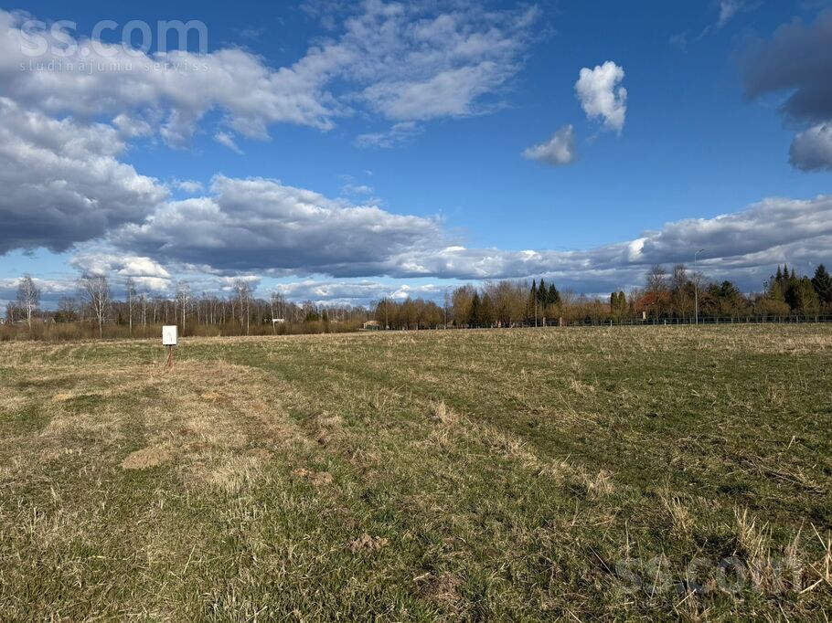Tīrzemnieki, Stelpe, Bauska un raj., Stelpes pag. — zeme