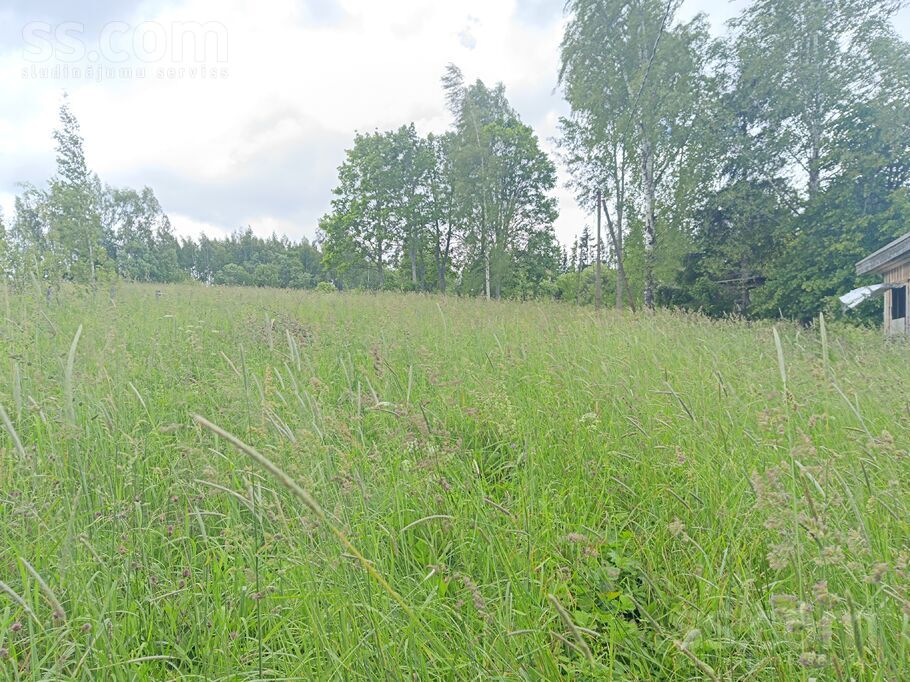 Dārziņš 72, Salas, Madona un raj., Praulienas pag. — maja