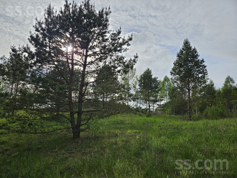 Pieneņu ceļš 19, Ogre un raj., Ogre — zeme