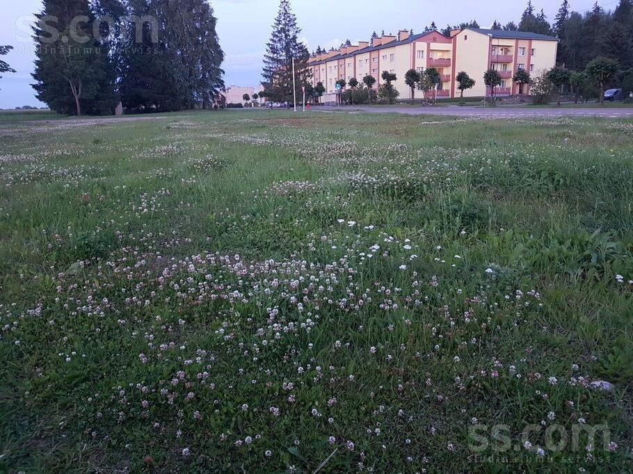 Selekcijas iela 11, Priekuļi, Cēsis un raj., Priekuļu pag. — zeme