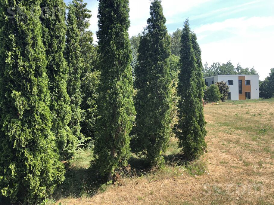 Sauliešu iela 8a, Dreiliņi, Rīgas rajons, Stopiņu nov. — zeme