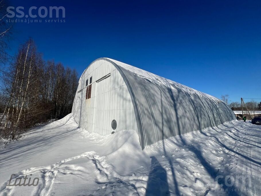 Nākotnes iela, Skujene, Cēsis un raj., Skujenes pag. — telpa