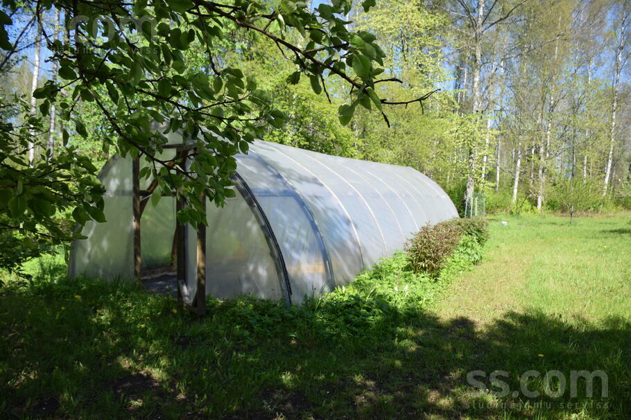 Talsi un raj., Abavas pag. — vienseta