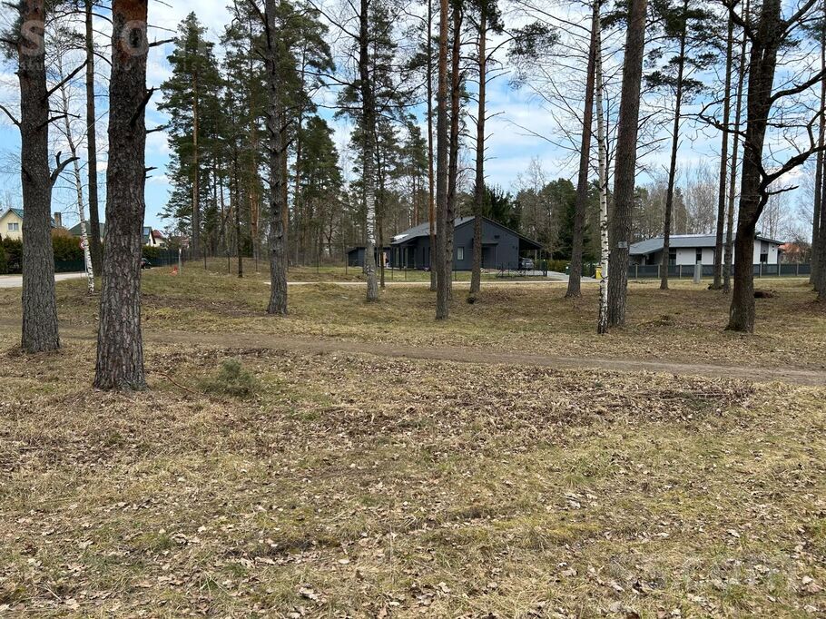 Sedolu iela 1, Jaunmārupe, Rīgas rajons, Mārupes pag. — zeme