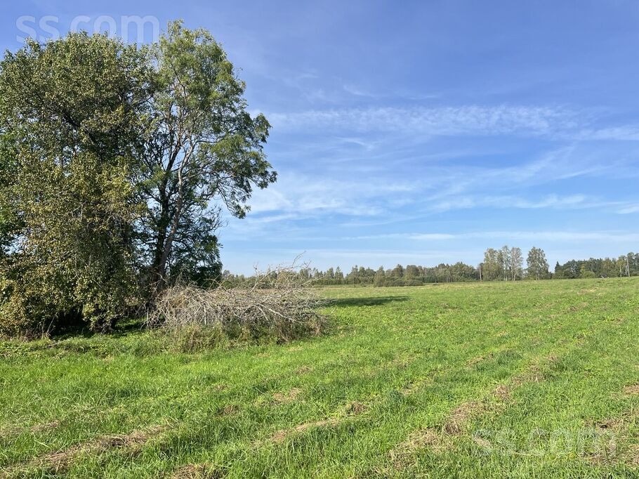 Lazdaiņi, Viļuši, Daugavpils un raj., Naujenes pag. — zeme