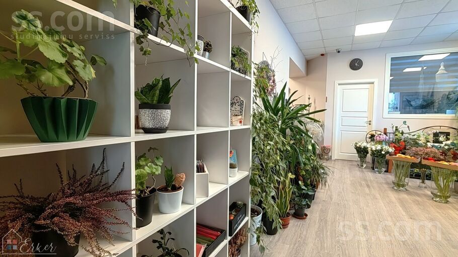 Bauskas 33, Rīga, Torņakalns — telpa