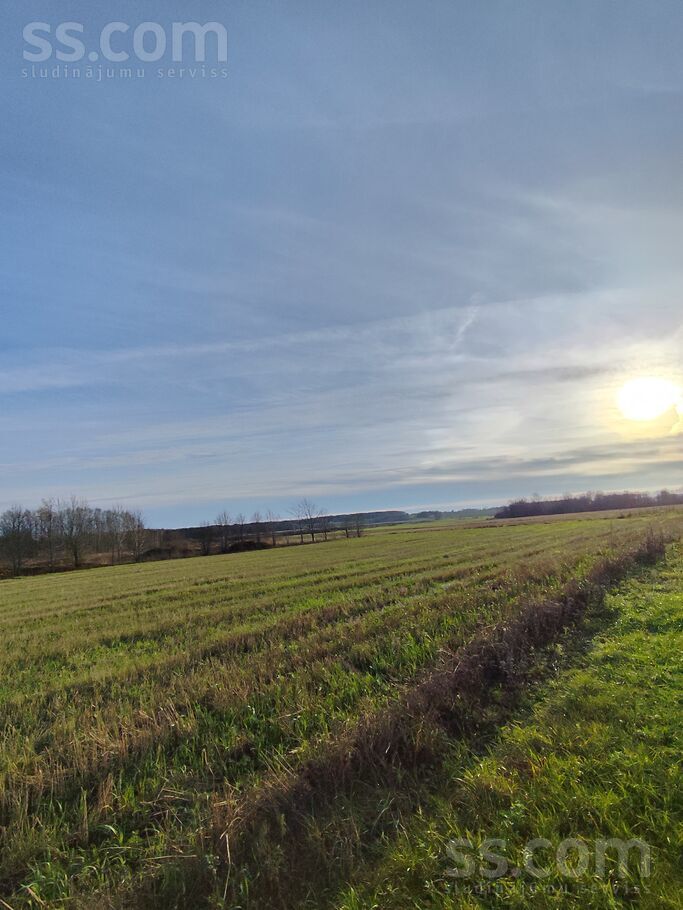 Jaunie Lauksargi, Tadaiķi, Liepāja un raj., Bunkas pag. — zeme