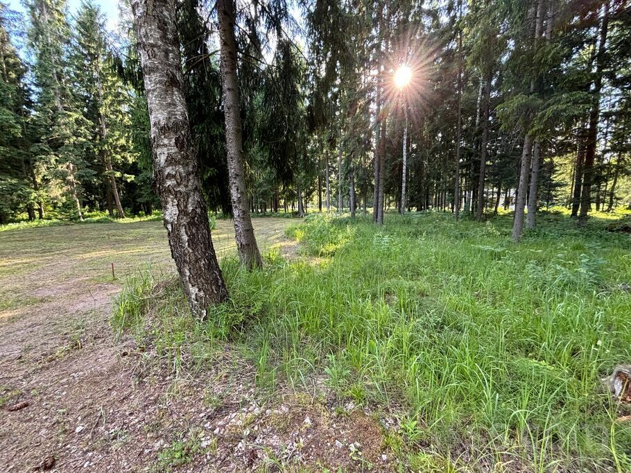 Muižas iela 11, Rīgas rajons, Saulkrasti — zeme