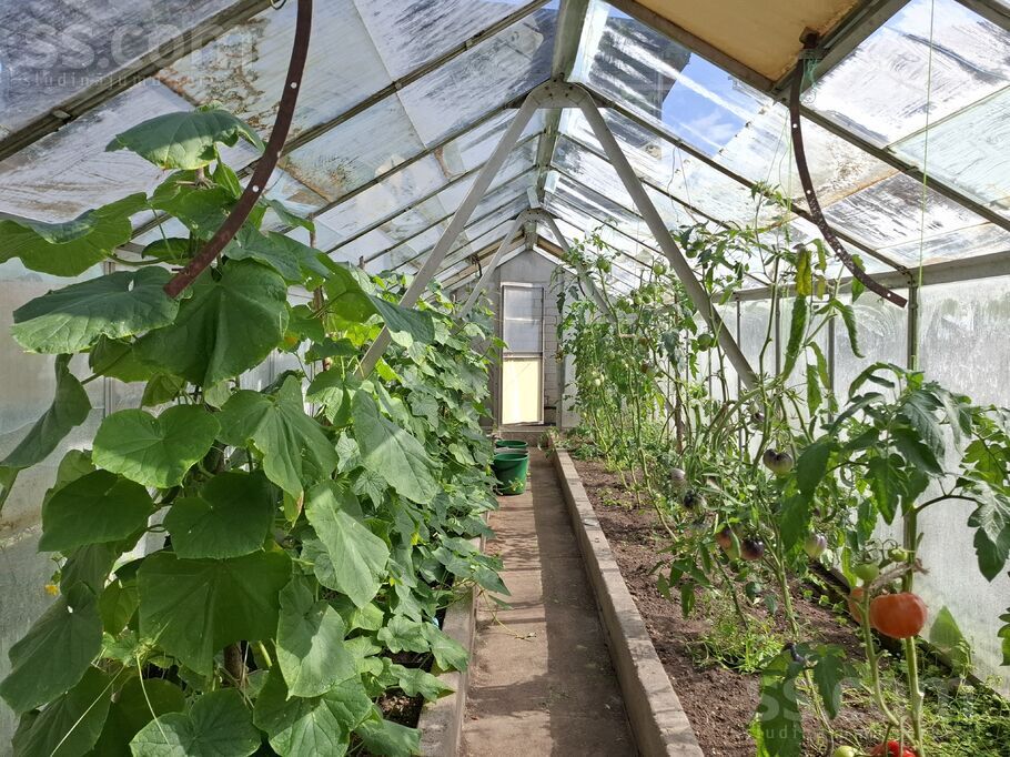 Šķūņu, Valmiera un raj., Valmiera — maja