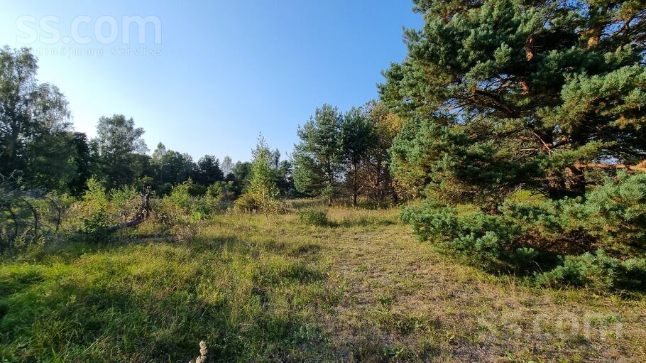 Saulstari, Valgalciems, Talsi un raj., Rojas pag. — zeme