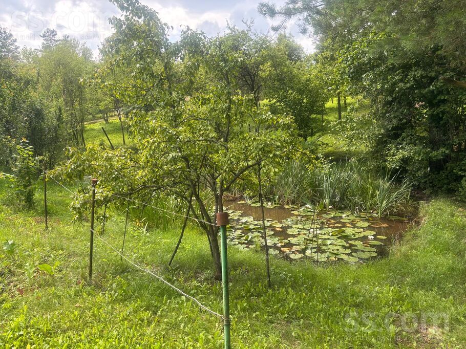 Ozolaine 33, Ozolaine, Daugavpils un raj., Medumu pag. — maja