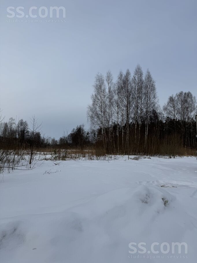 Bebriņi, Piņķi, Rīgas rajons, Babītes pag. — zeme