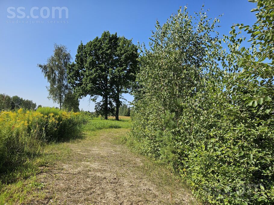 Brankas, Jelgava un raj., Cenu pag. — vienseta