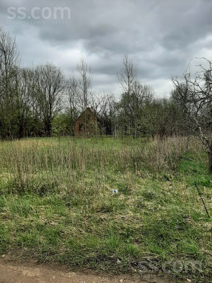 Daugava 272, Daugava, Daugavpils un raj., Kalkūnes pag. — zeme