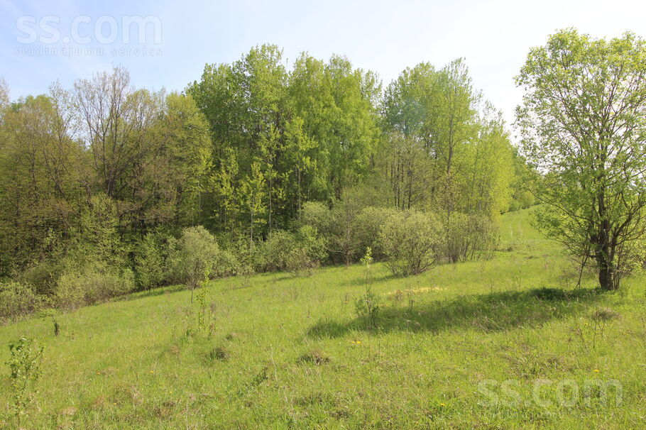 Kāši-Ventas, Daugavpils un raj., Medumu pag. — zeme