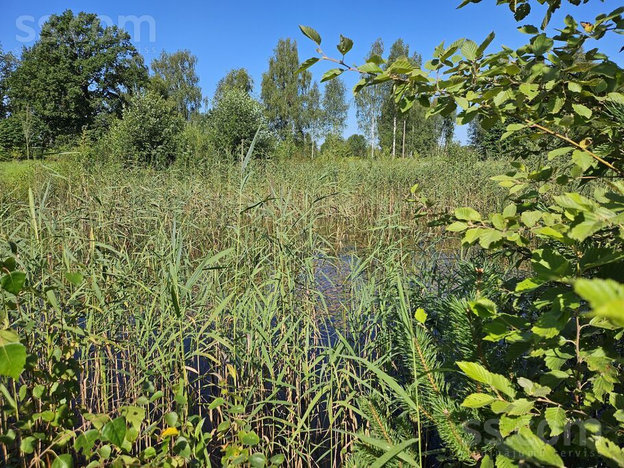 Jaunzelmeņi, Brankas, Jelgava un raj., Cenu pag. — zeme