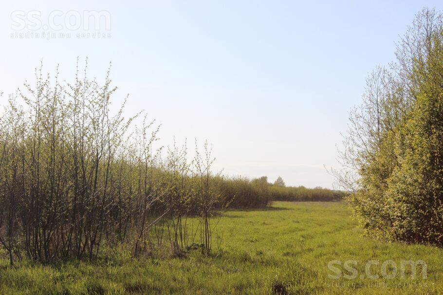 Paegļu 28c, Vītoliņi, Jelgava un raj., Valgundes nov. — zeme