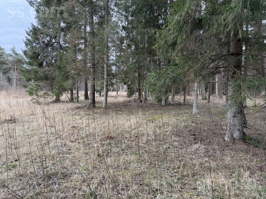 Austrumnieki, Engure, Tukums un raj., Engures pag. — zeme