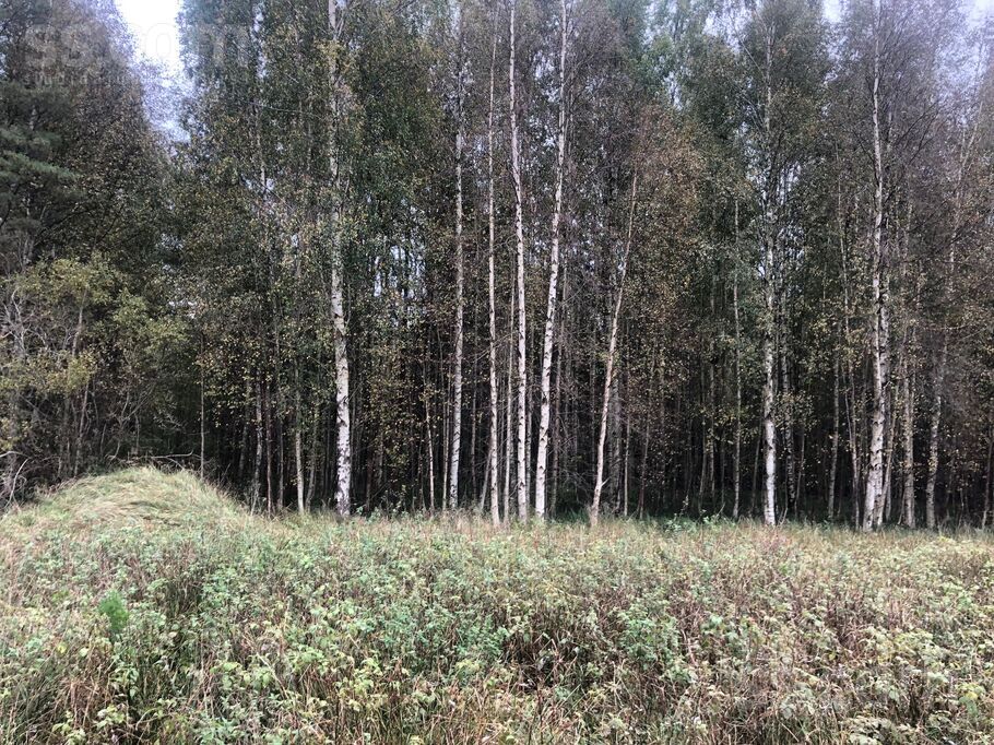 Selgas 40b, Ventspils un raj., Ventspils — zeme