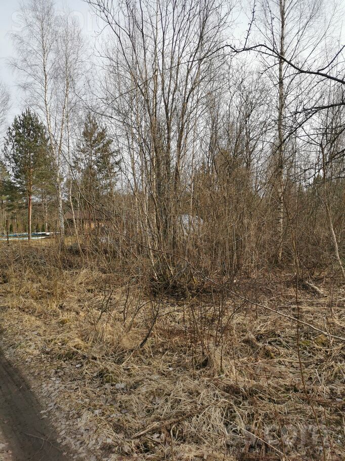 D/s Cīrulīši 113, Rīgas rajons, Olaines pag. — zeme