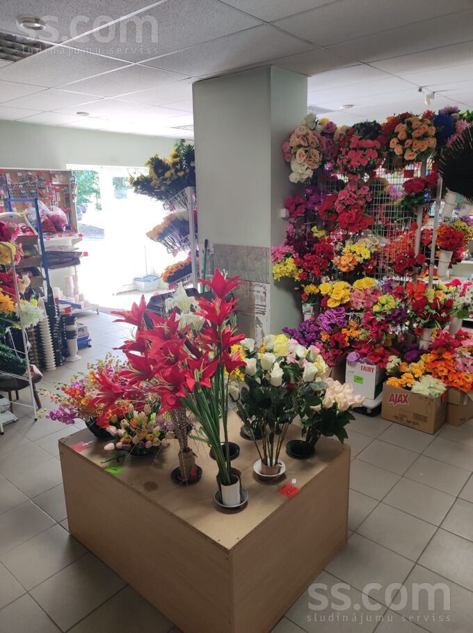 Latgales 96, Rēzekne un raj., Rēzekne — telpa