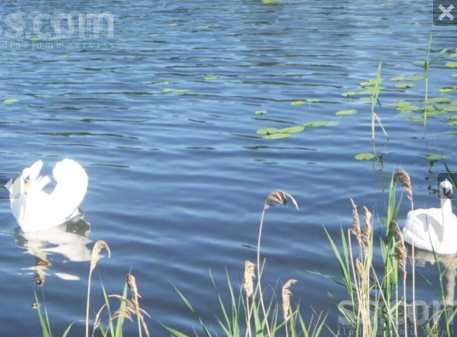 Bruņene, Daugavpils un raj., Skrudalienas pag. — vienseta