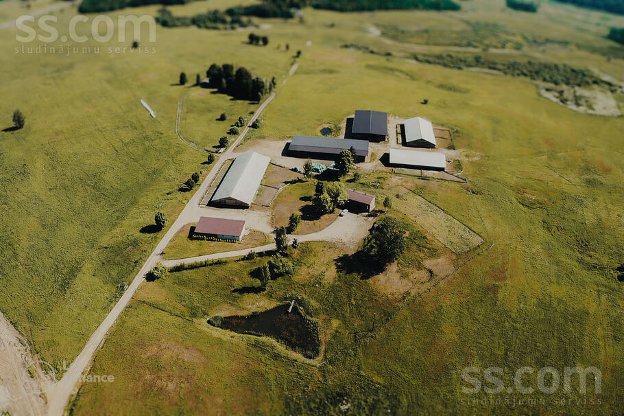 Saules, Vurpuļi, Ludza un raj., Nirzas pag. — zeme